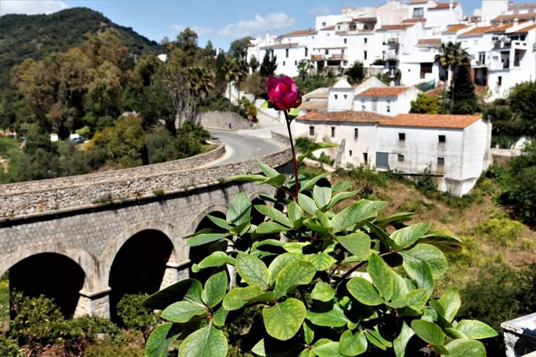 شقة Casa Rural Sierras De Gaucín المظهر الخارجي الصورة