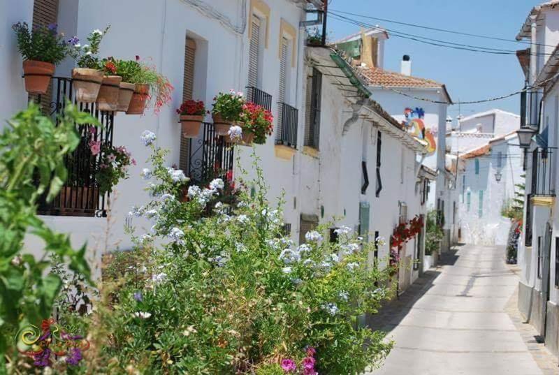 شقة Casa Rural Sierras De Gaucín المظهر الخارجي الصورة